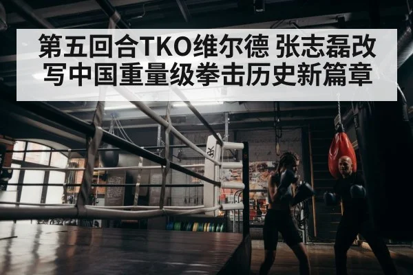 boxer training